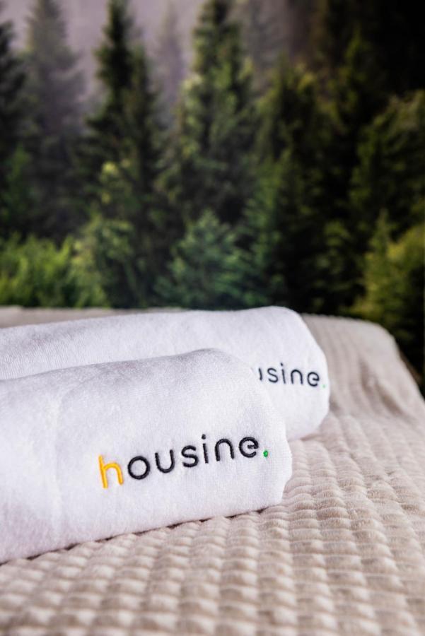 Forest 47 By Housine *